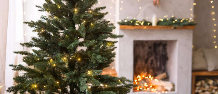 Startseite Weihnachtsbaum 1700x740